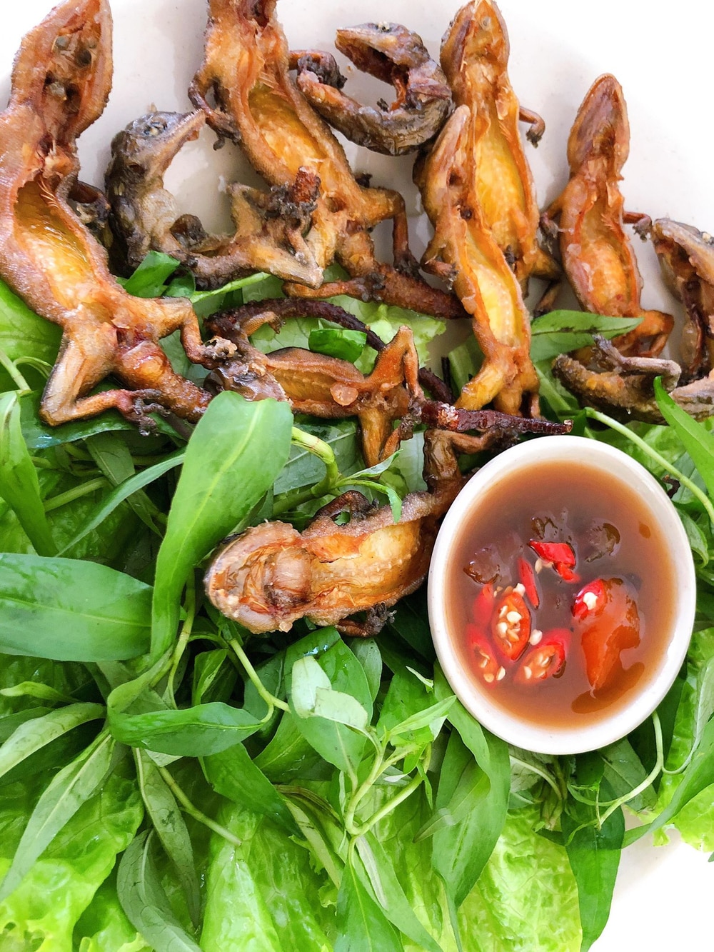Thằn lằn núi Bà Đen